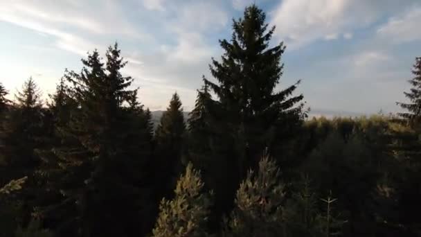 Luchtfoto hoge snelheid sport fpv drone vliegen over natuurlijke berg klif omgeven Verbazingwekkende natuur rotsachtig terrein met groene vegetatie bij zonsondergang of zonsopgang. — Stockvideo