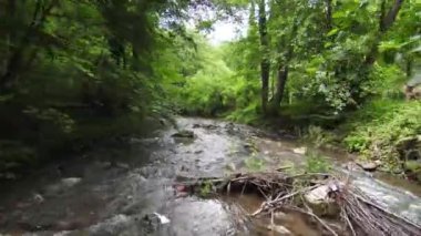 FPV Havacılık, ağaçların altındaki sık yeşil ormanın doğal peyzaj nehrinde uçma yeteneğine sahip bir çekim yaptı.