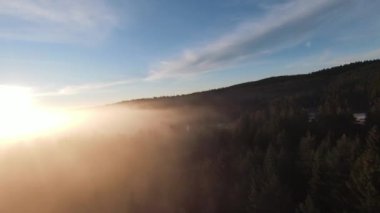 Sabah sisli orman üzerinde uçarken, gün doğumunda ağaçların tepesinde sis ve güneş ışınları vardı. FPV insansız hava aracının, dağlık tepe arazili doğa manzarası üzerindeki görüntüsü. Sinematik görünüm.