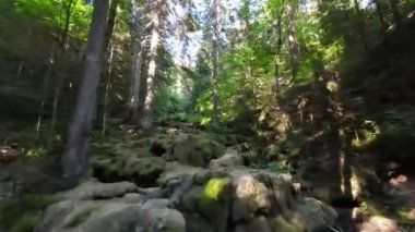 Nehrin yukarısında ya da yeşil ormanın derinliklerinde küçük bir dağ deresinin FPV hava aracı görüntüsü. Küresel ısınma iklim değişikliği etkisi.