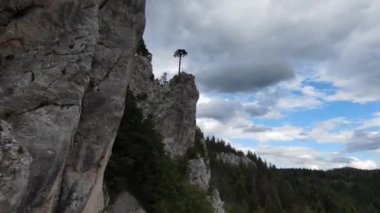 Hava sineması, yüksek hızlı fpv drone 'u doğal dağ uçurumunun üzerinde uçarken çekti. Bulutlu bir günde yeşil bitki örtüsü ve ormanla çevrili muhteşem doğa kaya arazisi.. 