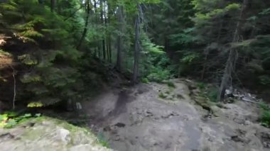 Nehrin yukarısında ya da yeşil ormanın derinliklerinde küçük bir dağ deresinin FPV hava aracı görüntüsü. Küresel ısınma iklim değişikliği etkisi.