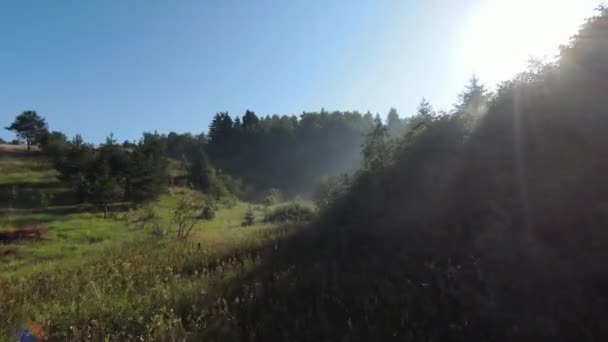 Extremer Nahflug über Baumwipfel im Wald am Morgen. Luftaufnahme auf fpv Sport Drohne sonnige Landschaft mit bergigem, hügeligem Gelände. Dynamische filmische Sicht. — Stockvideo