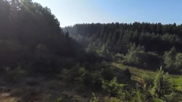 Extremer Nahflug über Baumwipfel im Wald am Morgen. Luftaufnahme auf fpv Sport Drohne sonnige Landschaft mit bergigem, hügeligem Gelände. Dynamische filmische Sicht. — Stockvideo