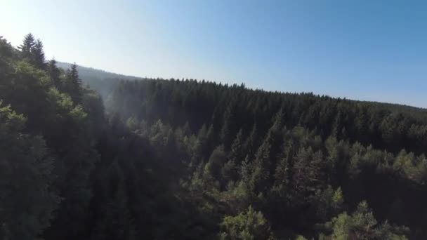 在雾蒙蒙的森林清晨，在树梢上飞得非常近。空中射击的fpv运动无人驾驶飞机在云彩的自然山谷景观与山地丘陵地形。动态电影视图. — 图库视频影像