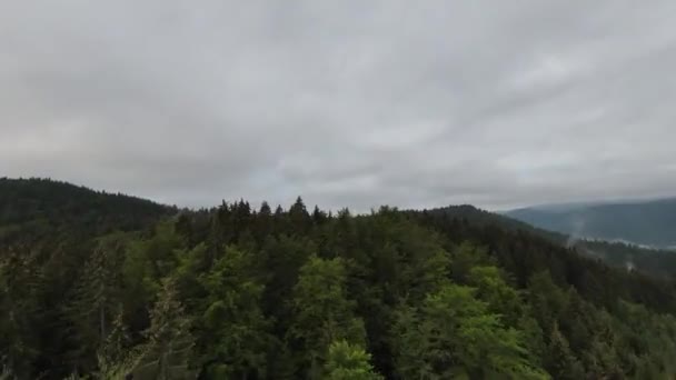 Extrémní let nad vrcholky stromů v zamlženém lesním ránu. Letecký záběr na fpv sport drone přes mraky příroda údolí krajina s horským kopcovitým terénem. Dynamický filmový pohled. — Stock video