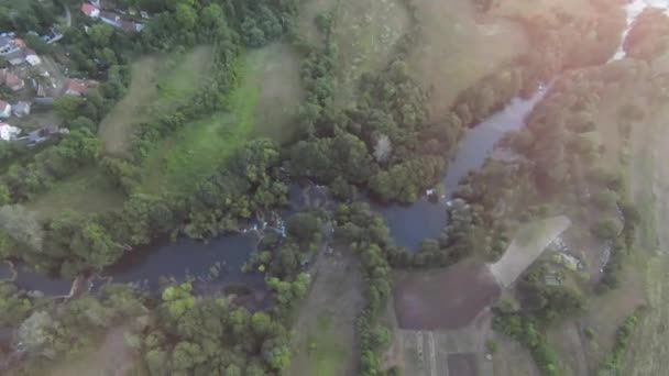 Політ від першої особи в глибокому каньйоні над гірською річкою серед заростей бамбука, рододендрони покрили мох — стокове відео