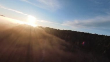 Sabah sisli orman üzerinde uçarken, gün doğumunda ağaçların tepesinde sis ve güneş ışınları vardı. FPV insansız hava aracının, dağlık tepe arazili doğa manzarası üzerindeki görüntüsü. Sinematik görünüm.