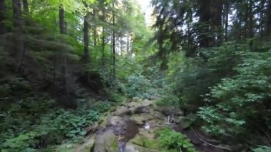Nehrin yukarısında ya da yeşil ormanın derinliklerinde küçük bir dağ deresinin FPV hava aracı görüntüsü. Küresel ısınma iklim değişikliği etkisi.