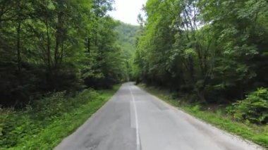 FPV, dağdaki sisli ve sık ormandaki virajlı bir kır yolunun üzerinden hızlı bir şekilde uçuyor..