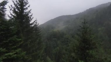 Bu sisli orman sabahında ağaçların tepelerinde son derece yakın uçuş. Fpv spor aracının, dağlık tepe arazili doğa vadisi manzarası üzerindeki görüntüsü. Dinamik sinematik görünüm. 