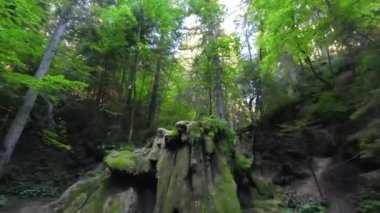 Nehrin yukarısında ya da yeşil ormanın derinliklerinde küçük bir dağ deresinin FPV hava aracı görüntüsü. Küresel ısınma iklim değişikliği etkisi.