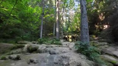 Nehrin yukarısında ya da yeşil ormanın derinliklerinde küçük bir dağ deresinin FPV hava aracı görüntüsü. Küresel ısınma iklim değişikliği etkisi.