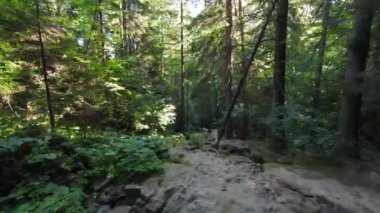 Nehrin yukarısında ya da yeşil ormanın derinliklerinde küçük bir dağ deresinin FPV hava aracı görüntüsü. Küresel ısınma iklim değişikliği etkisi.