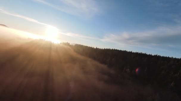 Vlucht over het mistige bos op de ochtend met mist en zonnestralen op boomtoppen bij zonsopgang in de bergen. Luchtopname op fpv drone boven wolken natuurlandschap met bergachtig terrein. Cinematografisch beeld. — Stockvideo