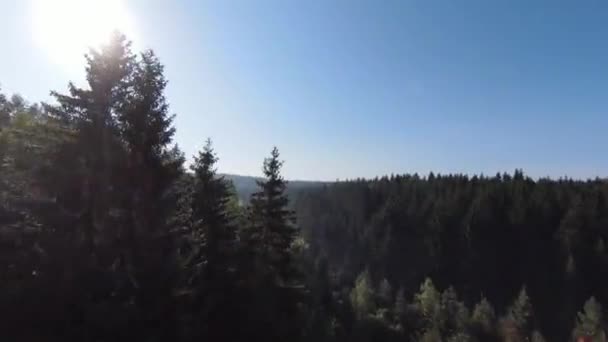Extrémní let zblízka přes vrcholky stromů v lese ráno. Letecký záběr na fpv sport drone slunné krajiny s horským kopcovitým terénem. Dynamický filmový pohled. — Stock video