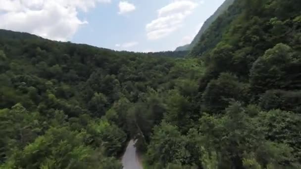 FPV letecký rychlý výstřel přes zakřivenou venkovskou silnici v zamlženém hustém lese v horách. — Stock video