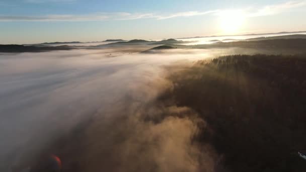Політ над туманним лісом вранці з туманом і сонячними променями на тріщинах на схід сонця в горах. Повітряний постріл на fpv безпілотник над хмарами природний пейзаж з гірською горбистою місцевістю. Кінематографічний погляд . — стокове відео
