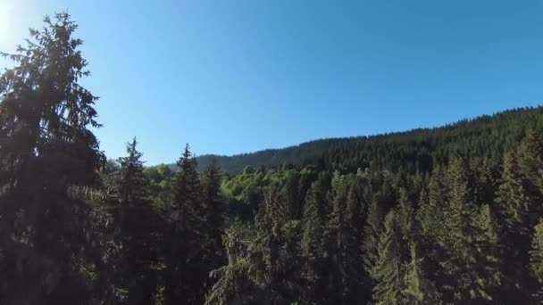 Vôo extremamente próximo sobre as copas das árvores na manhã nebulosa da floresta. Tiro aéreo em drone esporte fpv sobre nuvens natureza vale paisagem com terreno montanhoso montanha. Vista cinemática dinâmica. — Vídeo de Stock