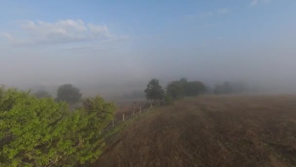 Extreme nauwe vlucht over boomtoppen in de mistige bosochtend. Luchtfoto op fpv sport drone boven wolken natuur dal landschap met berg heuvelachtig terrein. Dynamisch cinematografisch beeld. — Stockvideo