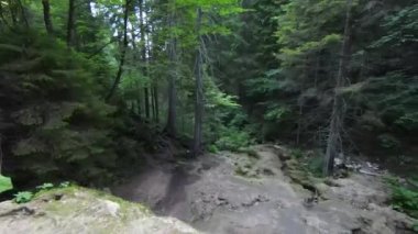 Nehrin yukarısında ya da yeşil ormanın derinliklerinde küçük bir dağ deresinin FPV hava aracı görüntüsü. Küresel ısınma iklim değişikliği etkisi.