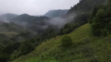 Bu sisli orman sabahında ağaçların tepelerinde son derece yakın uçuş. Fpv spor aracının, dağlık tepe arazili doğa vadisi manzarası üzerindeki görüntüsü. Dinamik sinematik görünüm. 