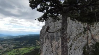 Hava sineması, yüksek hızlı fpv drone 'u doğal dağ uçurumunun üzerinde uçarken çekti. Bulutlu bir günde yeşil bitki örtüsü ve ormanla çevrili muhteşem doğa kaya arazisi.. 