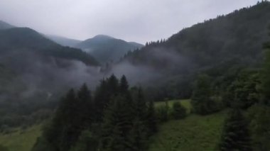 Bu sisli orman sabahında ağaçların tepelerinde son derece yakın uçuş. Fpv spor aracının, dağlık tepe arazili doğa vadisi manzarası üzerindeki görüntüsü. Dinamik sinematik görünüm. 