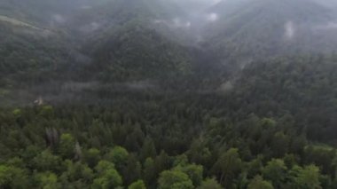 Bu sisli orman sabahında ağaçların tepelerinde son derece yakın uçuş. Fpv spor aracının, dağlık tepe arazili doğa vadisi manzarası üzerindeki görüntüsü. Dinamik sinematik görünüm. 
