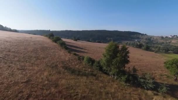 Extreme nauwe vlucht over boomtoppen in het bos op de ochtend. Luchtfoto op fpv sport drone zonnig landschap met berg heuvelachtig terrein. Dynamisch cinematografisch beeld. — Stockvideo