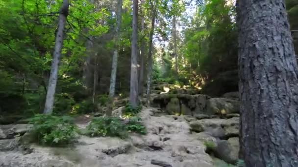 FPV flygdrönare skott av torkade uppför floden eller små berg bäck djupt i grön skog. Klimatförändringens inverkan på den globala uppvärmningen. — Stockvideo