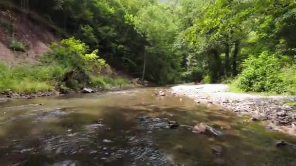 FPV Havacılık, ağaçların altındaki sık yeşil ormanın doğal peyzaj nehrinde uçma yeteneğine sahip bir çekim yaptı. — Stok video