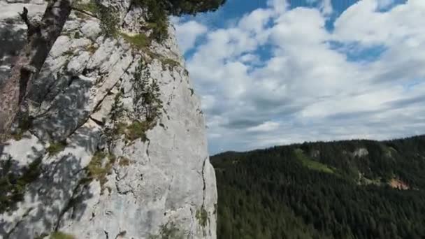 Flygfoto filmiska skott hög hastighet sport fpv drönare flyger över naturliga berg klippa omgiven Fantastisk natur stenig terräng med grön vegetation och skog på molnig dag. — Stockvideo