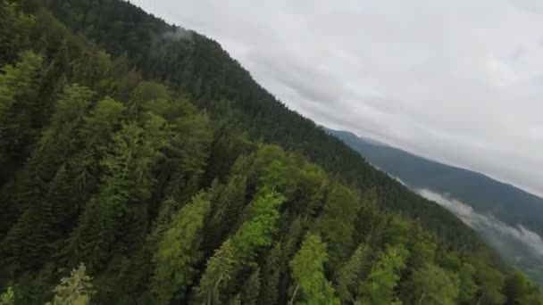 Extrém közeli repülés a fák felett a ködös erdőben. Légi felvétel fpv sport drón felett felhők természet völgy táj hegyi dombos terepen. Dinamikus filmszemlélet. — Stock videók