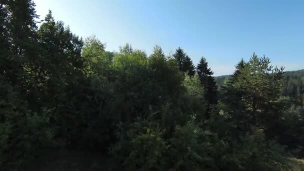 Vôo extremamente próximo sobre copas de árvores na floresta na manhã. Tiro aéreo em fpv esporte drone paisagem ensolarada com terreno montanhoso. Vista cinemática dinâmica. — Vídeo de Stock