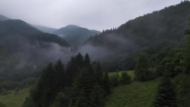 Vuelo cercano extremo sobre las copas de los árboles en la mañana brumosa del bosque. Aerial shot on fpv sport drone over clouds nature valley landscape with mountain hilly terrain. Vista cinematográfica dinámica. — Vídeos de Stock