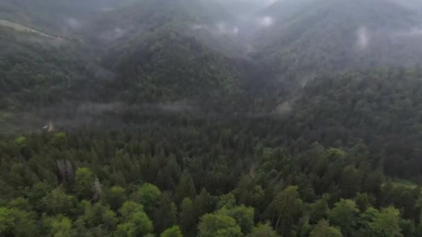 Екстремальний близький політ над деревами в туманний лісовий ранок. Повітряний постріл на спортивний безпілотник fpv над хмарами ландшафт долини природи з гірською горбистою місцевістю. Динамічний кінематографічний погляд . — стокове відео
