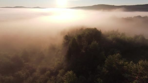 Полет над туманным лесом утром с туманом и солнечными лучами на верхушках деревьев на восходе солнца в горах. Аэросъемка на беспилотнике над облаками природного ландшафта с горной холмистой местностью. Кинематограф. — стоковое видео