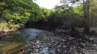 FPV Aerial yoğun yeşil orman ve hızlı hareket içinde doğal peyzaj nehir kanyonunda uçan dinamikleri çekti. Fpv helikopterinden çekiliyor..