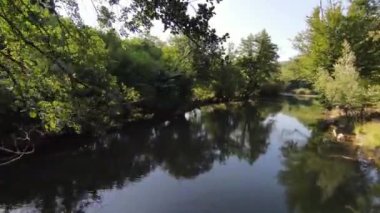 FPV Aerial yoğun yeşil orman ve hızlı hareket içinde doğal peyzaj nehir kanyonunda uçan dinamikleri çekti. Fpv helikopterinden çekiliyor..