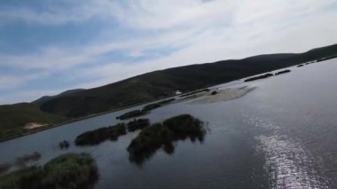 Göl kenarındaki FPV 'den nefes kesici bir manzara, arka planda parlak mavi gökyüzü güneşli bir yaz günü.