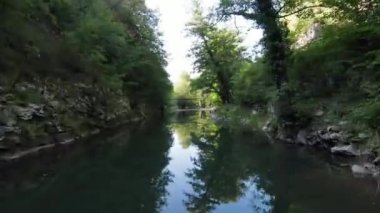 FPV Aerial yoğun yeşil orman ve hızlı hareket içinde doğal peyzaj nehir kanyonunda uçan dinamikleri çekti. Fpv helikopterinden çekiliyor..