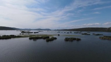 Vahşi hayattan nefes kesici bir manzara. FPV hızlı bir şekilde göl boyunca uçuyor, parlak mavi gökyüzü arka planda güneşli bir yaz günü.