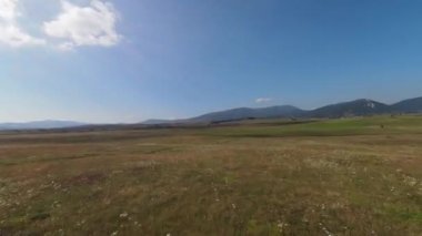 Yeşil çayır boyunca uçuyor, çimlere ve ağaçların yapraklarına yakın.