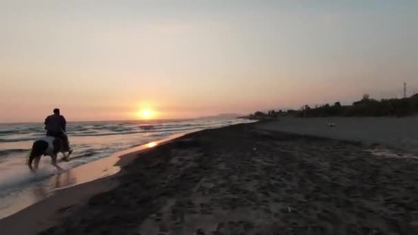 Equitazione su una spiaggia tropicale lungo la costa dell'Oceano. Giovani cavalieri esperti si muovono contro il bellissimo tramonto. Spiaggia di sabbia esotica su una costa tropicale. — Video Stock