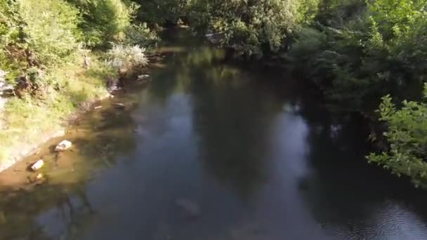 FPV Luftaufnahmen dynamisches Fliegen in der natürlichen Landschaft Flussschlucht im dichten grünen Wald und schnelle Bewegung. Schießen aus dem fpv Hubschrauber Low Key Szenerie. — Stockvideo