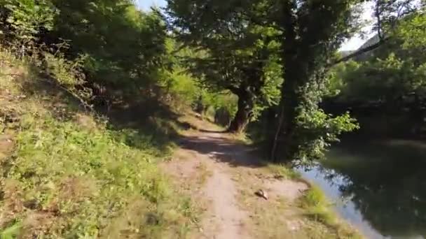 FPV Luftaufnahmen dynamisches Fliegen in der natürlichen Landschaft Flussschlucht im dichten grünen Wald und schnelle Bewegung. Schießen aus dem fpv Hubschrauber Low Key Szenerie. — Stockvideo