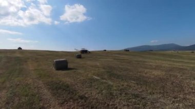 Yeşil çayır boyunca uçuyor, çimlere ve ağaçların yapraklarına yakın.