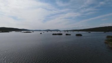 Göl kenarındaki FPV 'den nefes kesici bir manzara, arka planda parlak mavi gökyüzü güneşli bir yaz günü.