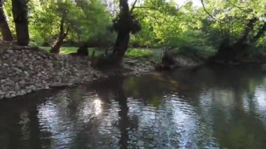 FPV Aerial yoğun yeşil orman ve hızlı hareket içinde doğal peyzaj nehir kanyonunda uçan dinamikleri çekti. Fpv helikopterinden çekiliyor..